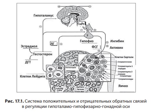 визуальный материал к статье Ольги Рождественской №1