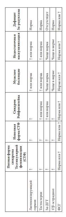 визуальный материал к статье Ольги Рождественской №10