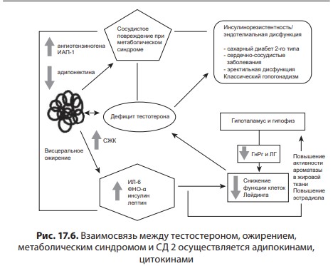 визуальный материал к статье Ольги Рождественской №16