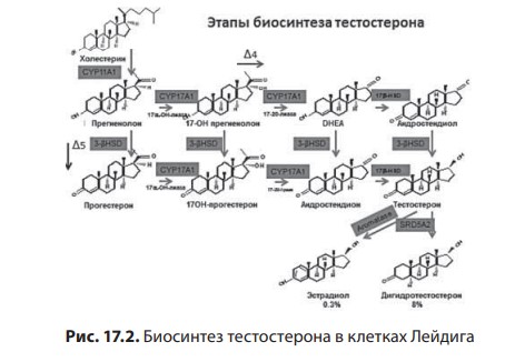 визуальный материал к статье Ольги Рождественской №2