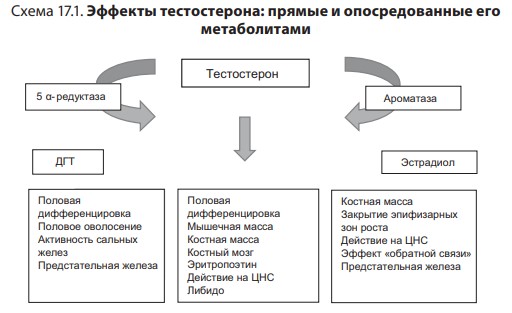 визуальный материал к статье Ольги Рождественской №4