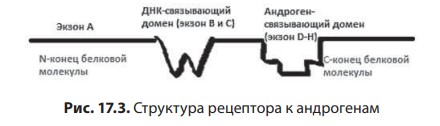 визуальный материал к статье Ольги Рождественской №5