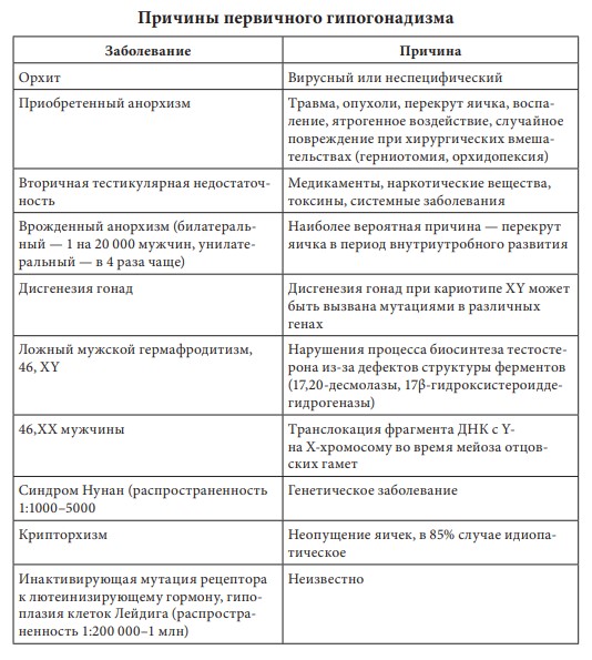 визуальный материал к статье Ольги Рождественской №6
