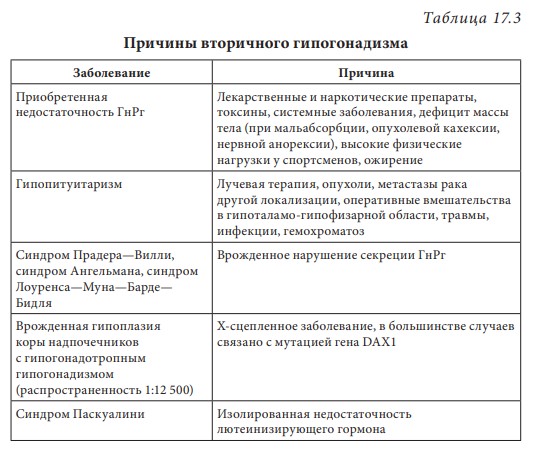 визуальный материал к статье Ольги Рождественской №7