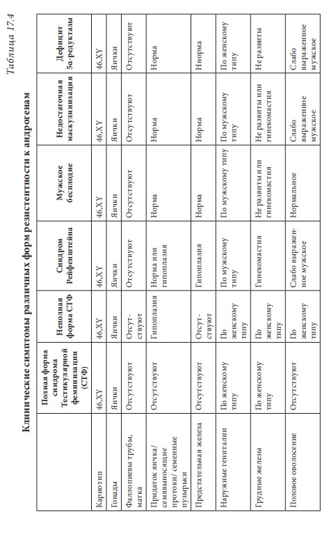 визуальный материал к статье Ольги Рождественской №9