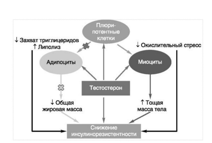 визуальный материал к статье Ольги Рождественской №1
