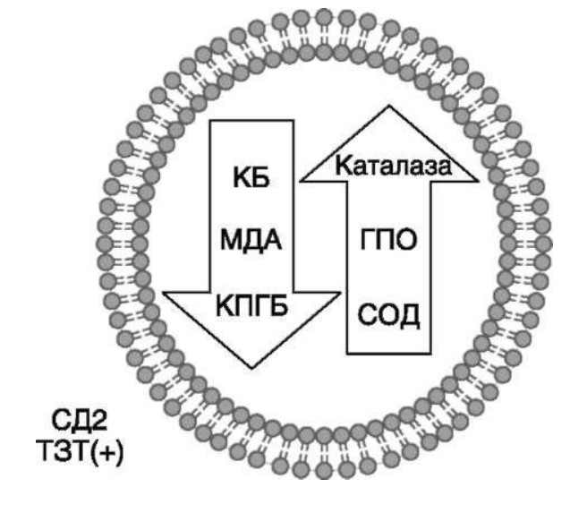 визуальный материал к статье Ольги Рождественской №10