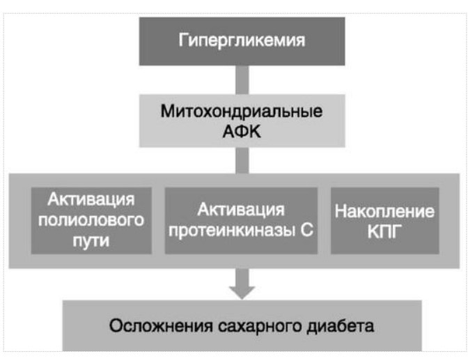 визуальный материал к статье Ольги Рождественской №11