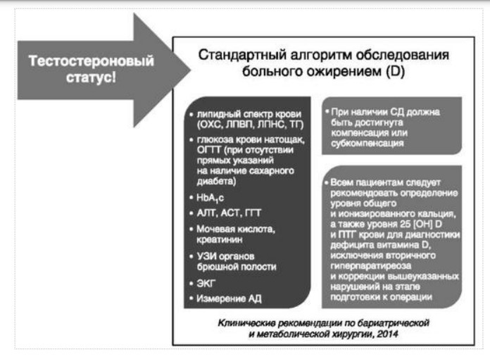 визуальный материал к статье Ольги Рождественской №16