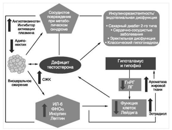 визуальный материал к статье Ольги Рождественской №2