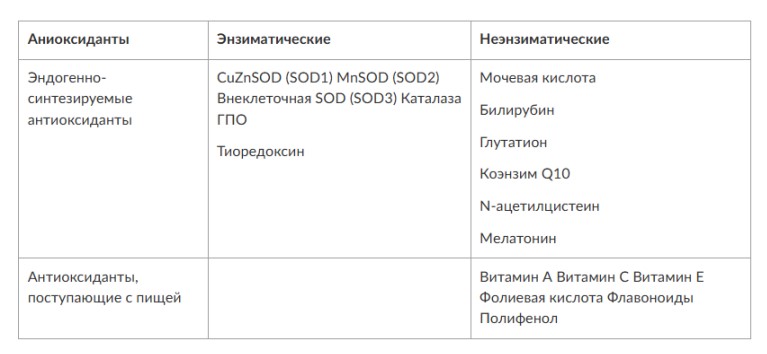 визуальный материал к статье Ольги Рождественской №3