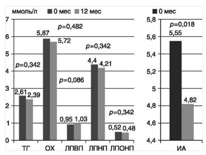 визуальный материал к статье Ольги Рождественской №6
