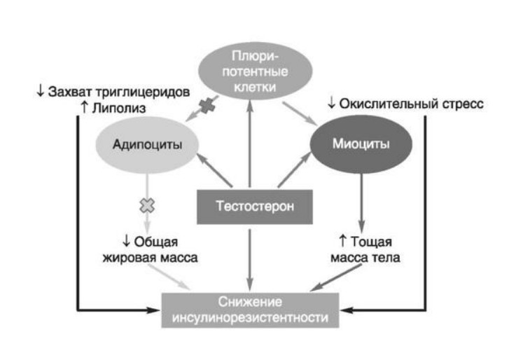 визуальный материал к статье Ольги Рождественской №1