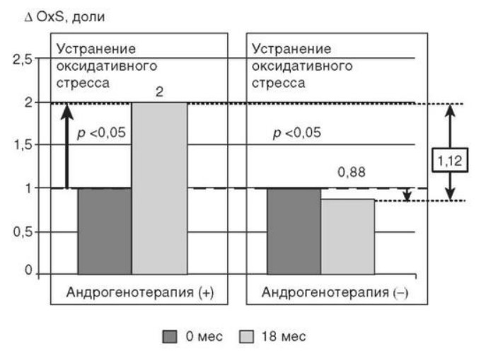 визуальный материал к статье Ольги Рождественской №11