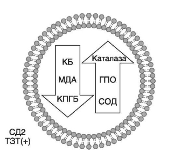 визуальный материал к статье Ольги Рождественской №12