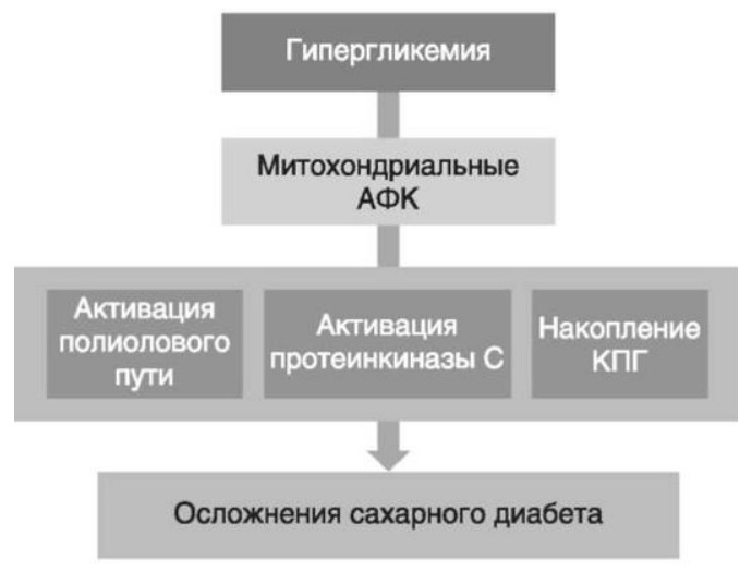 визуальный материал к статье Ольги Рождественской №13