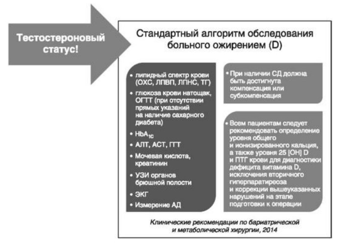 визуальный материал к статье Ольги Рождественской №19
