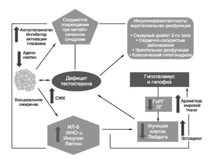 визуальный материал к статье Ольги Рождественской №2