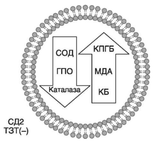 визуальный материал к статье Ольги Рождественской №4