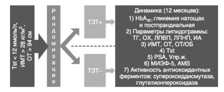 визуальный материал к статье Ольги Рождественской №5