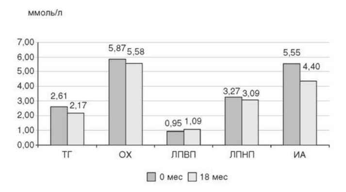 визуальный материал к статье Ольги Рождественской №7